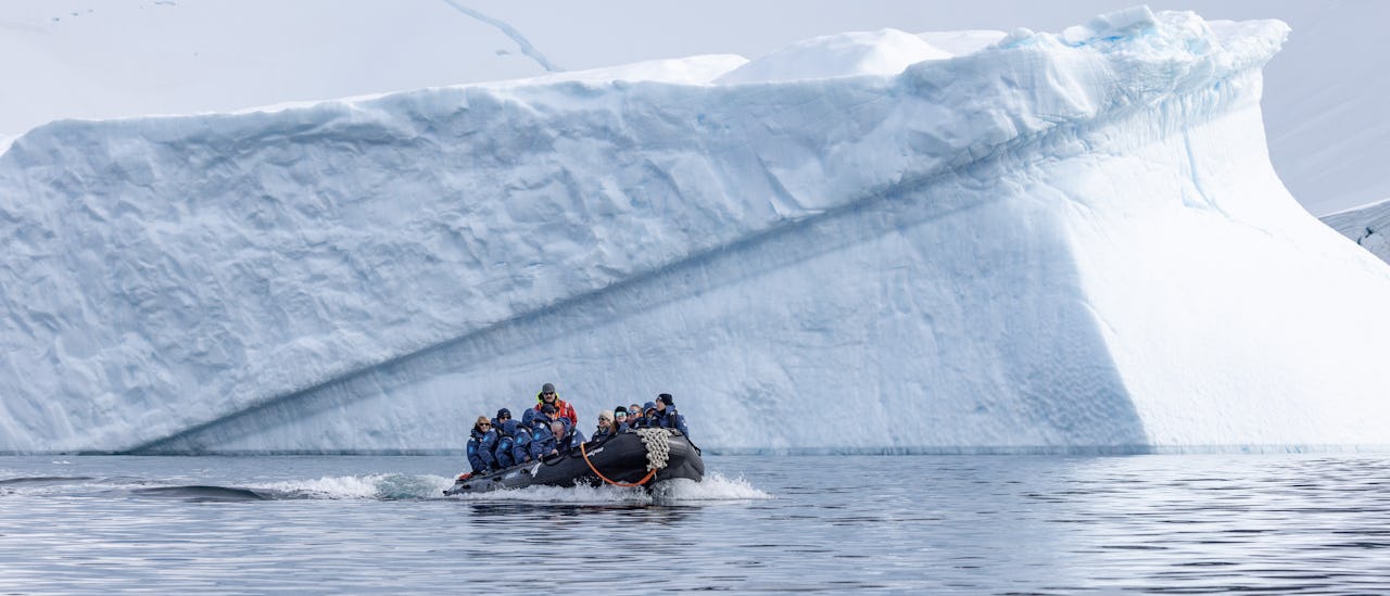 Keep a lookout for animals, coastal landscapes – or icebergs